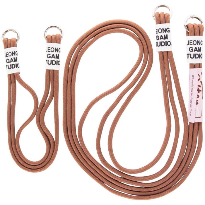 Чехол TPU two straps California для Apple iPhone 11 (6.1")