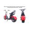 Електроскутер Citycoco, Long 1500W, 60V12Ah, Green