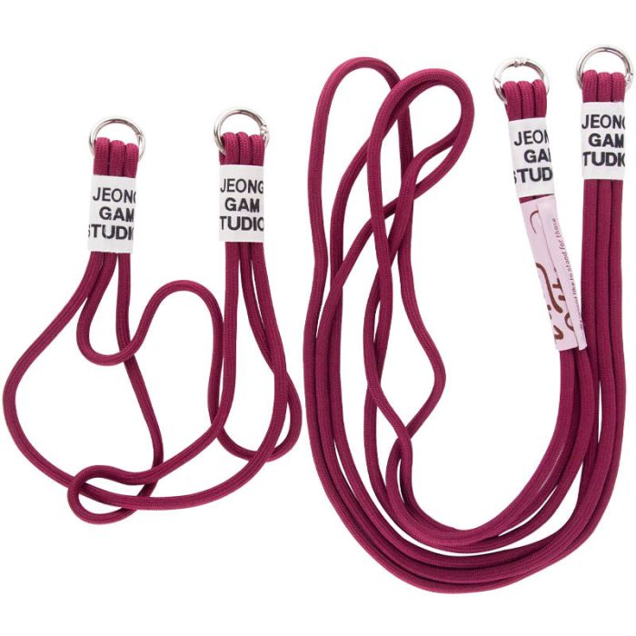 Чехол TPU two straps California для Apple iPhone 12 Pro/12 (6.1")