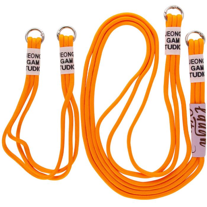 Чехол TPU two straps California для Apple iPhone 12 Pro/12 (6.1")