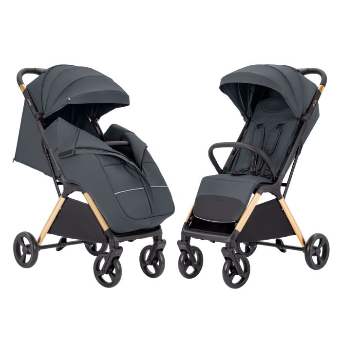 Детская прогулочная коляска CARRELLO Cross (CRL-5523 ​​Eagle Grey)