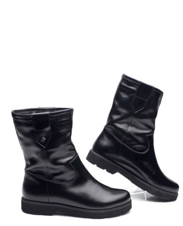 Напівчобітки зимові