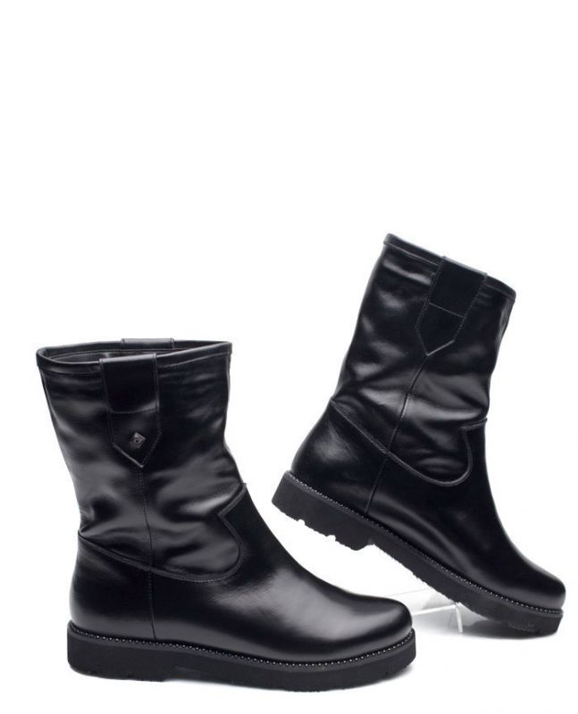 Напівчобітки зимові